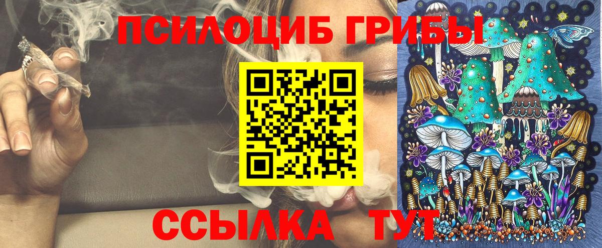 Галлюциногенные грибы ЛСД Луга